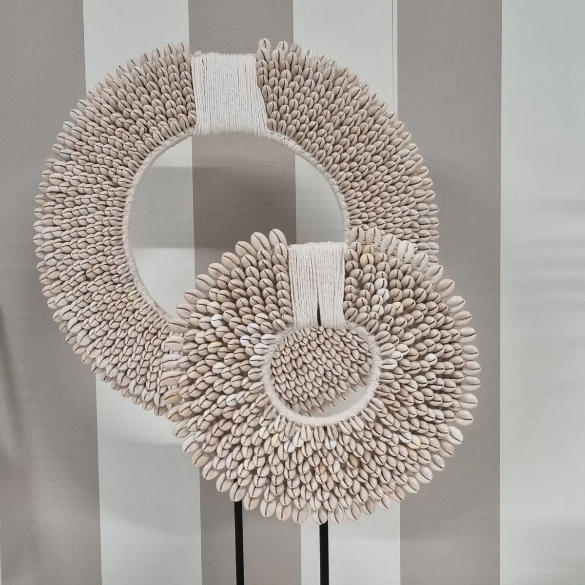 Uma Cantik schelpenstandaard Kauri Sunrise - Afbeelding 4
